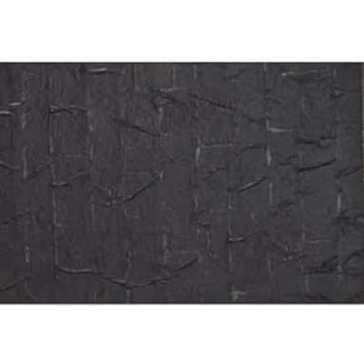 Immagine di Auhagen 52245 H0, TT Tetto Nero (L x L) 200 mm 100
