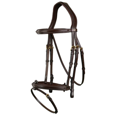 Immagine di Dyon Flash noseband bridle