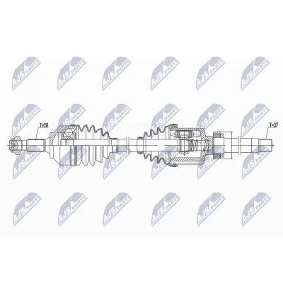 Immagine di NTY NPW CT 099 Albero motore / Semiasse Assale anteriore Dx 955 CITROËN: C5 III Station Wagon, Jumpy II MPV, Van, PEUGEOT: Expert Van