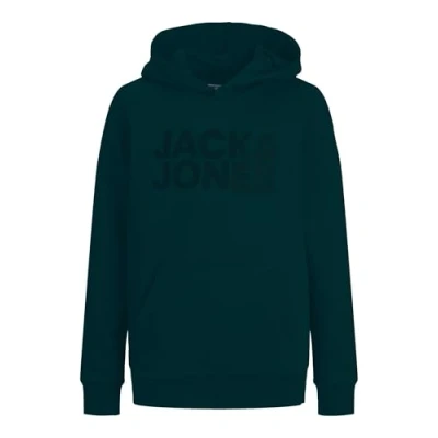 Immagine di Felpa con cappuccio logo Jack &amp; Jones Essentials Corp per bambini