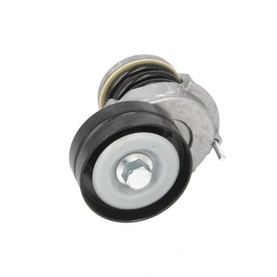 Immagine di Tendicinghia, Cinghia Poly V BTA E3W0039BTA