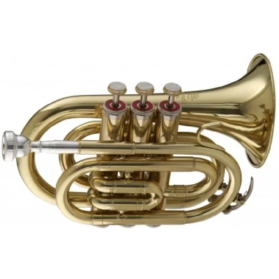 Immagine di Stagg WS TR245 Tromba tascabile in Sib con custodia, 15,2 x 7,6 20,3 cm