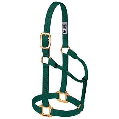 Immagine di Weaver Leather Cavezza originale in nylon non regolabile, piccola, verde cacciatore