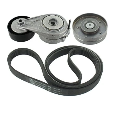 Immagine di SKF VKMA 31310 Kit cinghie Poly V AUDI: A4 B8 Avant, A5 Sportback, Q5, SEAT: Exeo ST