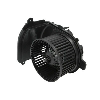 Immagine di THERMOTEC DDR026TT Ventola Abitacolo RENAULT: CLIO 2, Kangoo I