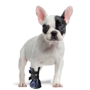 Immagine di Calzini di protezione delle lesioni e recupero per cani, Stop Leccaggio, 100% in similpelle, 3 m (5 cm), Altezza: 12 cm