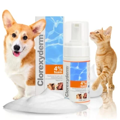 Immagine di CLOREXYDERM SOL 4% 100ML