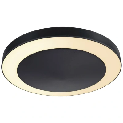 Immagine di Paulmann Circula 94525 Lampada LED a soffitto per esterni 14 W Antracite
