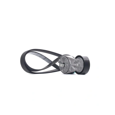 Immagine di DAYCO KPV384 Kit cinghie Poly V FIAT: Panda III Hatchback, II BRAVO 2, LANCIA: Musa, Ypsilon II, III, FORD: KA Hatchback