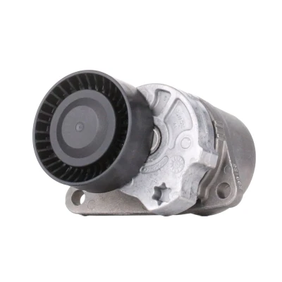 Immagine di INA 534 0103 10 Braccio tenditore, Cinghia Poly V VOLVO: V70 2, S60 I