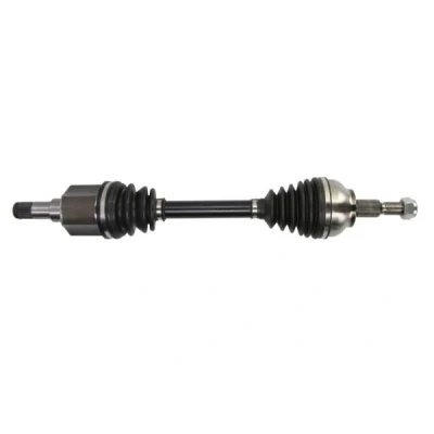 Immagine di Albero motore/Semiasse PASCAL G2G071PC