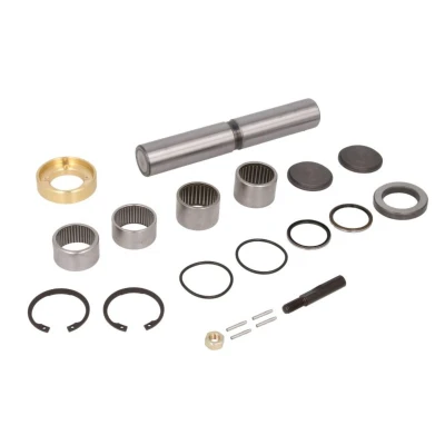 Immagine di FEBI BILSTEIN 08802 Kit riparazione, Perno fuso a snodo