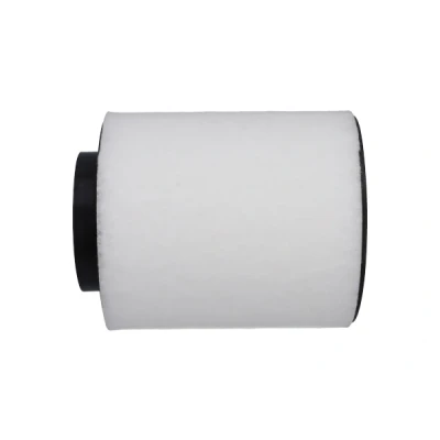 Immagine di KAVO PARTS FAF 10447 filtro aria 153mm Prefiltro, Cartuccia AUDI: A8 D4 (4H2, 4H8, 4HC, 4HL) 2.5 TFSI, S8 plus 4.0 quattro, 3.0 TFSI quattro