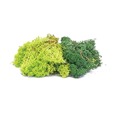 Immagine di Hornby Materiali scenici Licheni Green Mix Acessories Power &amp; Controllo, Multicolore, 1 Count (Pack of 1), R7194