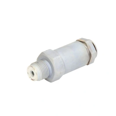 Immagine di Valvola di sovrapressione, sistema Common Rail BOSCH 1 110 010 035