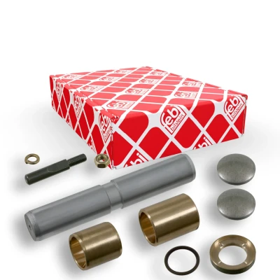 Immagine di FEBI BILSTEIN 06319 Kit riparazione, Perno fuso a snodo