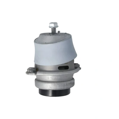 Immagine di REINHOCH RH11 3148 Supporto motore Dx, Assale anteriore idraulico PORSCHE: Cayenne