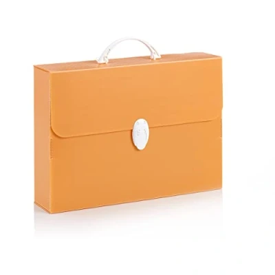Immagine di Favorit Valigetta &#039;Every Line Pastel&#039; Arancio Pastello in Polipropilene Alveolare, Formato 27 X 37.5 8 Cm, Maniglia Arrotondata e Una Chiusura Bianche