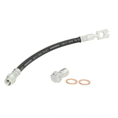Immagine di DELPHI LH6108 Tubi Freno 275 M10x1 Int SF AUDI: A4 B6 Avant, Sedan, B7 Avant
