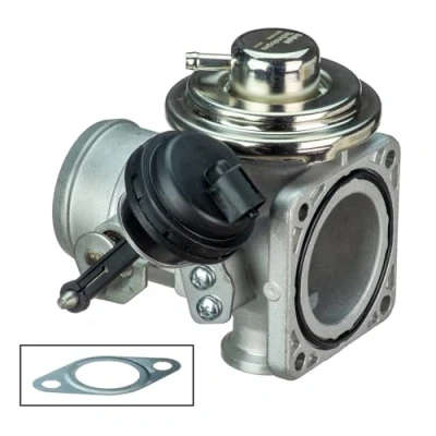Immagine di DELPHI EG10558 12B1 Valvola EGR senza radiatore