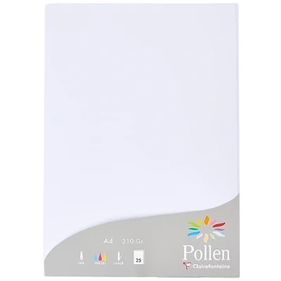 Immagine di Clairefontaine 24239C Astuccio da 25 fogli Formato A4 (21x29,7cm) 210g/m² Colore Bianco Inviti Eventi e Corrispondenza Gamma Pollen Carta Premium Liscia