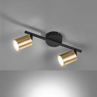 Immagine di FISCHER &amp; HONSEL Vano faretto da soffitto LED oro, 2 lampadine