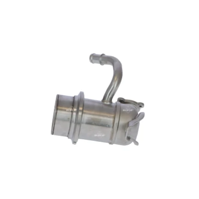 Immagine di NRF 48369 Modulo EGR