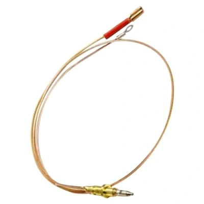 Immagine di Smeg 948650091 termostato tcpp aus srp rpd mm.600