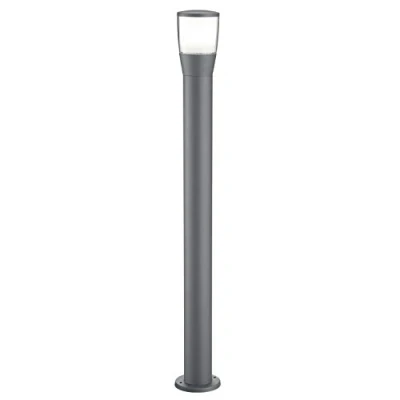 Immagine di Trio Leuchten 222060142 Shannon a +, Alluminio, 7 Watts, integrato, antracite/Acrilico Bianco, anthrazit/acryl weiß, Integriert wattsW