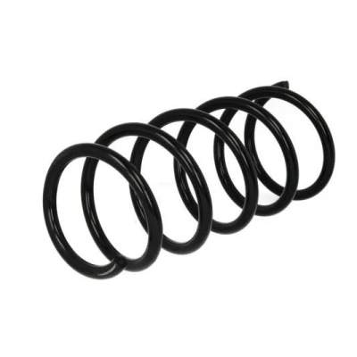 Immagine di Magnum Technology SR134MT Molle ammortizzatori Assale anteriore