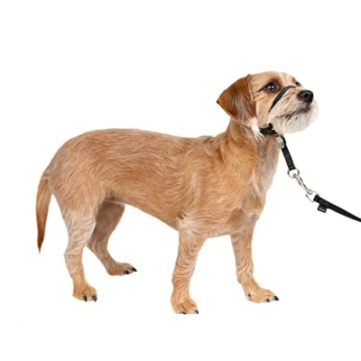 Immagine di PetSafe Collare a cavezza Easy Walk per cani di piccola taglia (S), comodo, anti trazione, con guinzaglio in nylon (incluso) Nero