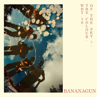 Immagine di bananagun why is the colour of sky l