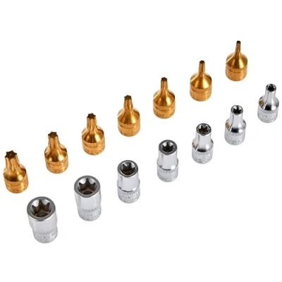 Immagine di HAZET 163 251/14 Modulo attrezzi 14 172 TORX interno , Safety Insert System