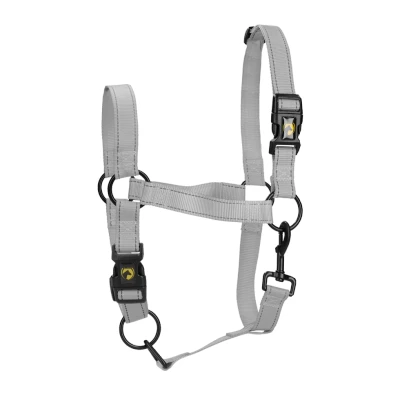 Immagine di Excellent Cavezza premium per cavalli S Grigio Chiaro