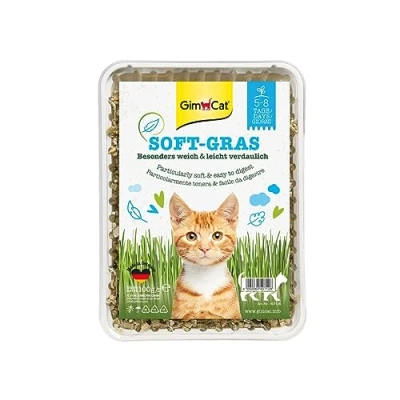 Immagine di GimCat Soft Gras, Erba per gatti tenera e ricca di vitamine con coltivazione rapida in soli 5 8 giorni, 1 vaschetta, x 100 g