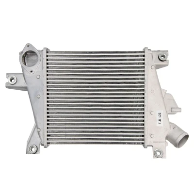 Immagine di THERMOTEC DA1012TT Intercooler NISSAN: X Trail