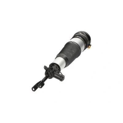 Immagine di KAVO PARTS SAS 10015 Gamba elastica con ammortiz. pneumatico Assale anteriore Sx AUDI: A6 C6 Allroad, Sedan