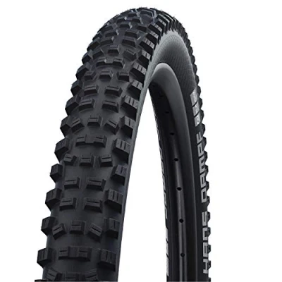 Immagine di Pneumatici Schwalbe Hans Dampf Hs491 Tskin Perf.Tlr Addix 60 559