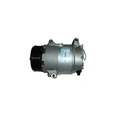 Immagine di DELPHI TSP0155351 compressore Aria Condizionata 7CVC PAG 46 con olio RENAULT: ESPACE 4