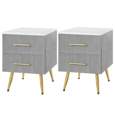 Immagine di WOLTU Set di 2 Comodino Camera da Letto in Velluto con Due Cassetti, Cassettiera Legno, Organizzatore Letto, Gambe Metallo, Bianco e Grigio, TS134gr