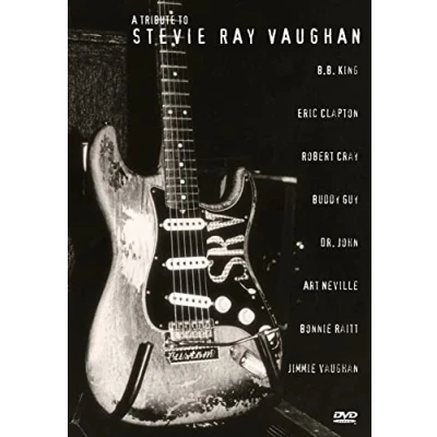 Immagine di Tribute To Stevie Ray Vaughan (A)