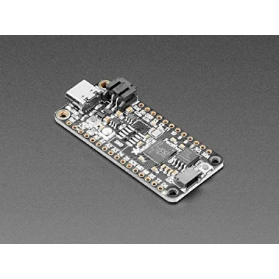 Immagine di Adafruit Feather RP2040