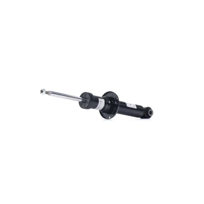 Immagine di SACHS 314 880 Ammortizzatore A pressione del gas doppio tubo telescopico Spina superiore, Occhiello inferiore BMW: X3, X4