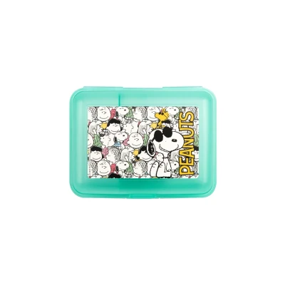 Immagine di United Labels The Peanuts Contenitore Portamerenda Merenda Scuola Allover con divisorio, colore: Verde