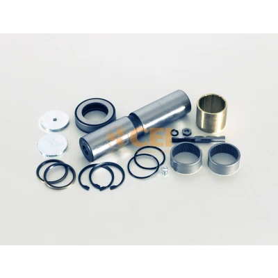 Immagine di CEI 230.012 Kit riparazione, Perno fuso a snodo