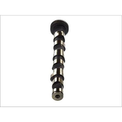 Immagine di AE CAM703 Albero a Camme per cilindro 1 3, Lato scarico AUDI: A4 B6 Avant, A6 C5 Avant