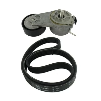 Immagine di SKF VKMA 32123 Kit cinghie Poly V FIAT: Punto II Hatchback, Stilo Hatchback