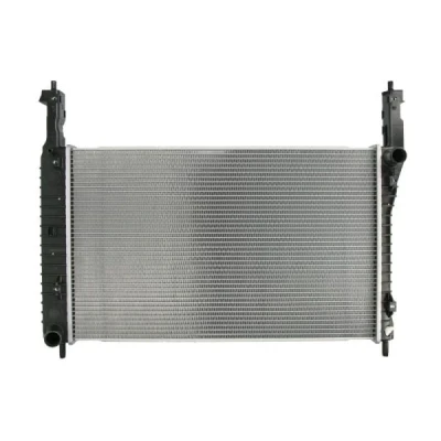 Immagine di Radiatore, Raffreddamento motore THERMOTEC D7X095TT