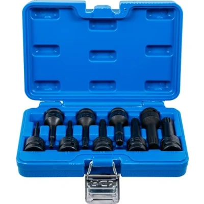 Immagine di BGS Bit inserto, interno, M16 XZN, 12,5 mm, 1 pezzi, 5482 di forza