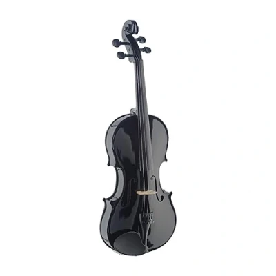 Immagine di Stagg 25019977 VN4/4 TBK Violino 4/4 nero con custodia morbida standard